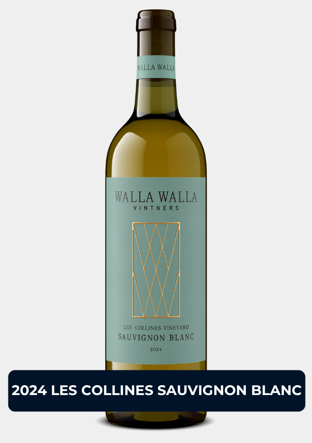 2024 Les Collines Sauvignon Blanc