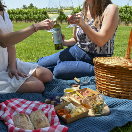 La Dolce Picnic | Outdoor Wine Tasting | Walla Walla Vintners