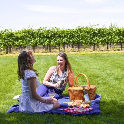 La Dolce Picnic